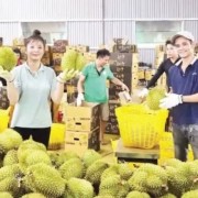 Removing obstacles and expanding capital sources for agricultural sector