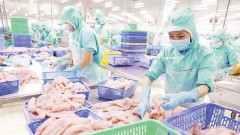 A sustainable transition for strategic aquaculture sector