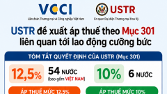 VCCI receives business feedback on proposed new U.S. trade measures