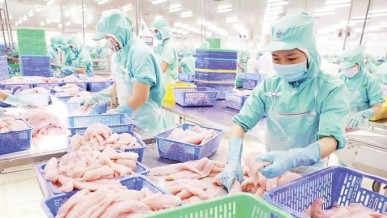 A sustainable transition for strategic aquaculture sector