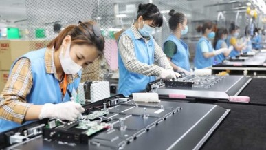 U.S. tariffs and the export challenges: Many key sectors still retain their edge