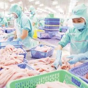 A sustainable transition for strategic aquaculture sector