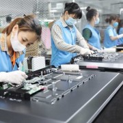 U.S. tariffs and the export challenges: Many key sectors still retain their edge
