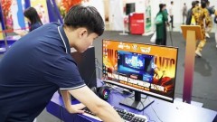 AI reshapes the IT labour market