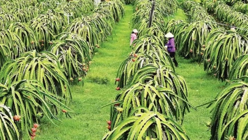 A solid foundation for Viet Nam Farmers’ Union to make breakthroughs and advance