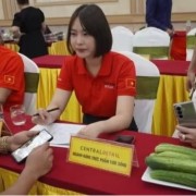 Collective economy supporting farmers in new era