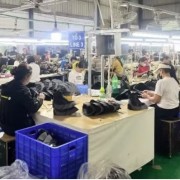 Unlocking resources, creating new momentum for private economic sector growth