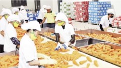Agricultural exports target double-digit growth