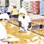Agricultural exports target double-digit growth