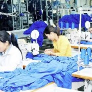 New test for Vietnamese exports