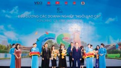 CSI: Made-In-Vietnam Index for Corporate Sustainability Governance 