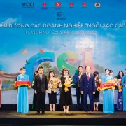 CSI: Made-In-Vietnam Index for Corporate Sustainability Governance 