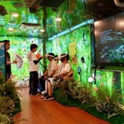 Diversifying summer experiences for visitors in Ninh Binh