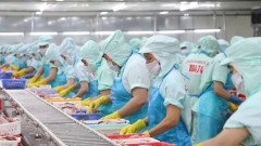 New-generation FTAs open wider export opportunities to Middle East and South Asia