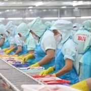 New-generation FTAs open wider export opportunities to Middle East and South Asia