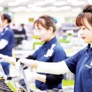 From quantity to quality: Viet Nam charts new course for foreign investment