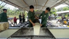 Rubber production development linked with border peace and security