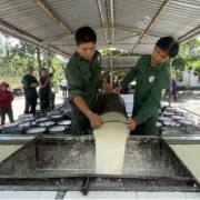 Rubber production development linked with border peace and security