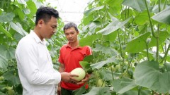 Bao Dai Commune (Bac Ninh): A local government closer to the People and businesses
