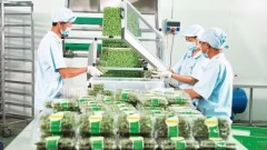 Implementing traceability codes enhances market transparency