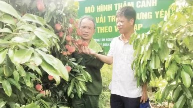 Agricultural extension models deliver tangible benefits for farmers