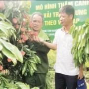 Agricultural extension models deliver tangible benefits for farmers
