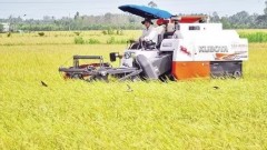 Connecting and developing material zones for sustainable agricultural product consumption