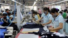 VCCI proposes multiple breakthrough mechanisms for SMEs