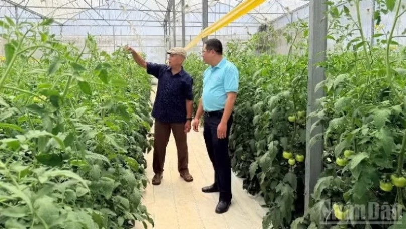 Lever for farmers’ sustainable development