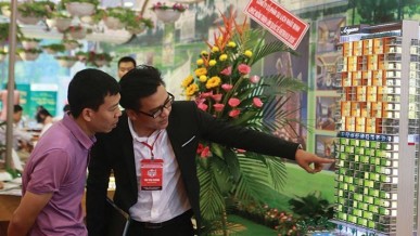 Filling the policy gaps in hospitality real estate