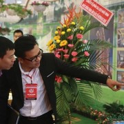 Filling the policy gaps in hospitality real estate