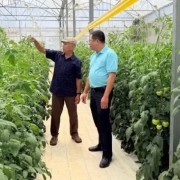 Lever for farmers’ sustainable development