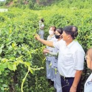 Spreading value of traditional medicine