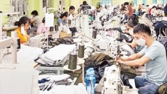 Completing Viet Nam's Textile and Garment Supply Chain: Removing bottlenecks