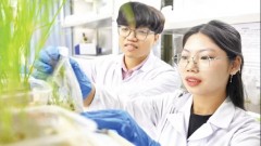 Enhancing agricultural productivity and value