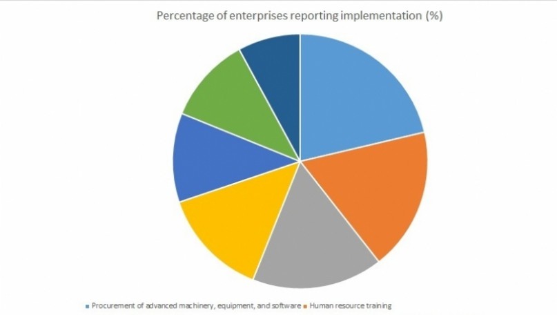 Vietnamese Firms Still Face Digital and Innovation Constraints