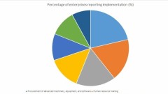 Vietnamese Firms Still Face Digital and Innovation Constraints
