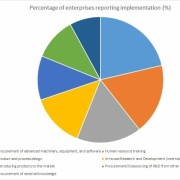 Vietnamese Firms Still Face Digital and Innovation Constraints