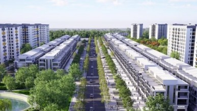 Rental housing identified as cornerstone of social welfare policy
