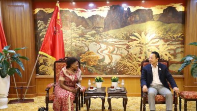 Promoting Meaningful Connectivity Between Vietnamese and Ugandan Businesses