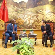 VCCI promotes cooperation between Vietnamese and Equatorial Guinea businesses