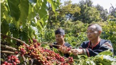 Boosting agricultural exports to the U.S.: Supply chains hold the key