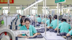 Environmental investment drives green transition in Vietnam’s textile industry