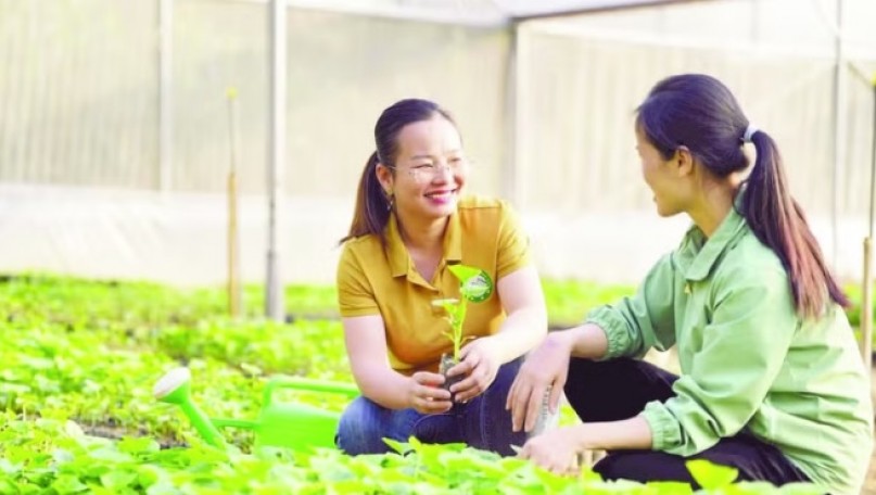 Technology transfer, production mindsets innovation boosted