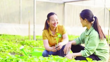 Technology transfer, production mindsets innovation boosted