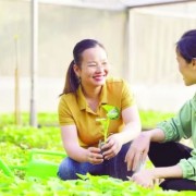 Technology transfer, production mindsets innovation boosted