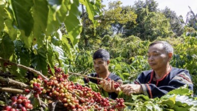 Boosting agricultural exports to the U.S.: Supply chains hold the key