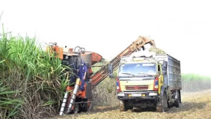 Mechanisation paves the way for&nbsp;large-scale agricultural production