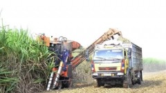 Mechanisation paves the way for&nbsp;large-scale agricultural production