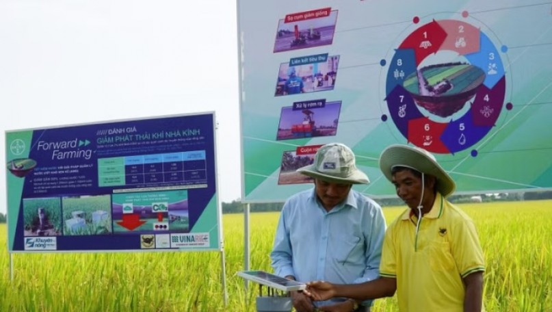 Green production zones set to elevate Vietnamese agriculture